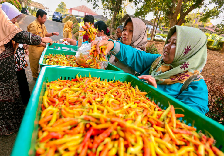Harga Cabai di Jawa Tengah Tembus Rp 90 Ribu per Kg, Pedagang Makanan Kelimpungan