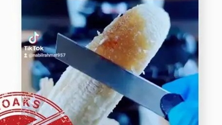 [HOAKS atau FAKTA]: Pisang Busuk Mengandung Larva Lalat
