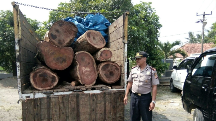 Kayu Sonokeling di Taman Nasional Gunung Ciremai Dicuri