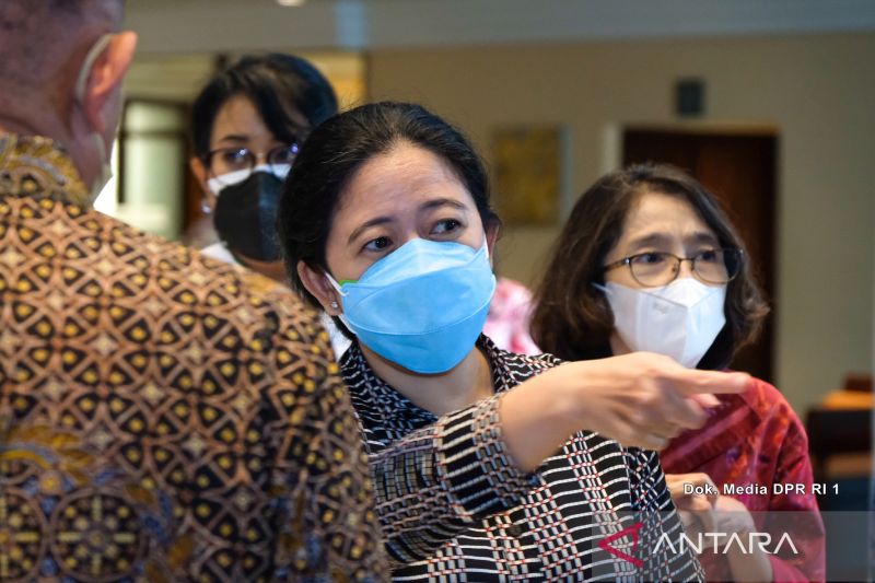 Pesan Puan untuk Bambang-Dhony: Jangan Sampai Pembangunan IKN Rugikan Rakyat
