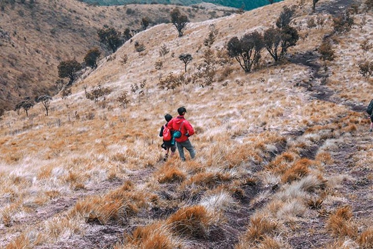   Gunung Merbabu. (Foto: instagram.com/si_teddy)