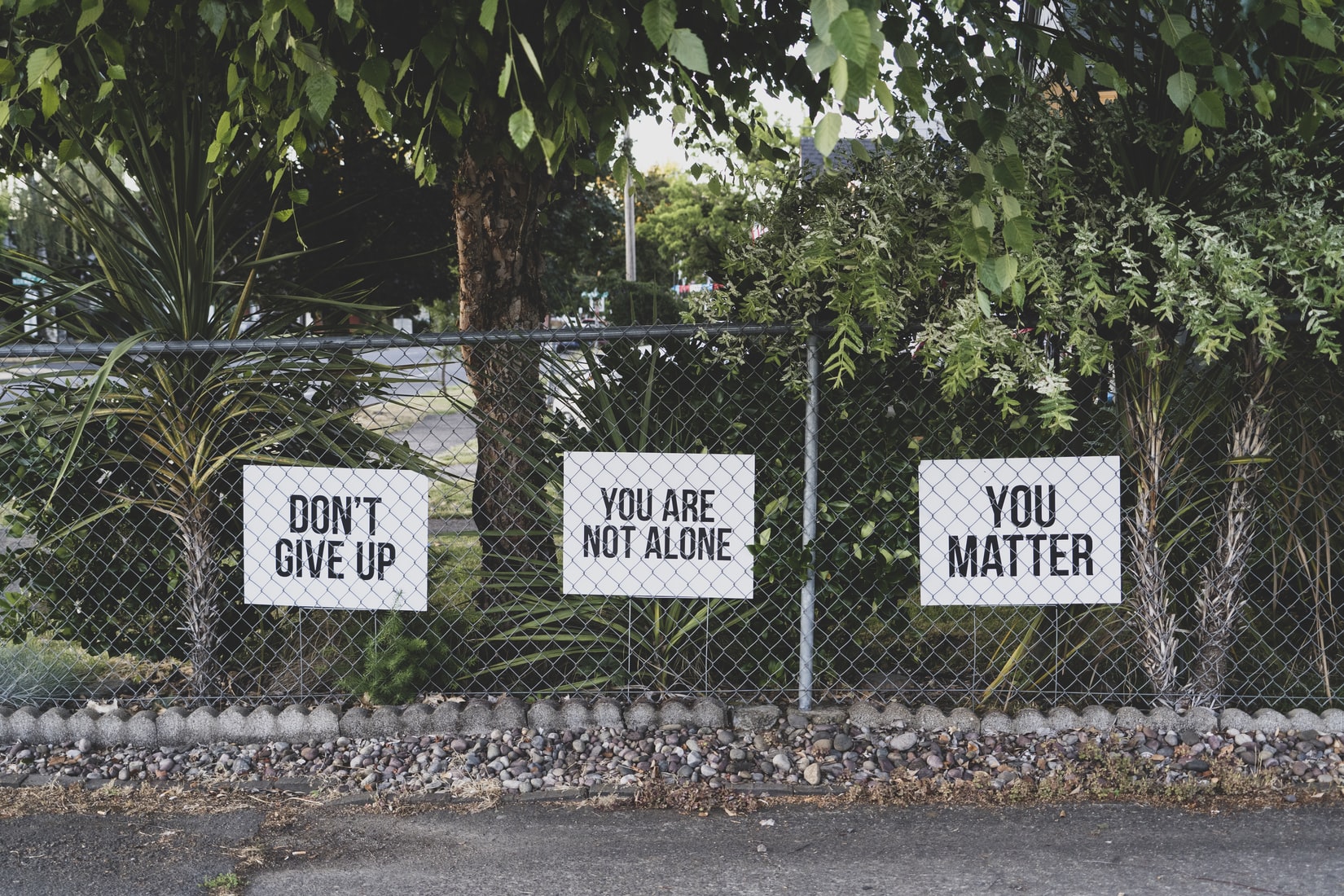Jangan remehkan depresi. (Foto Unsplash/@dmey503)