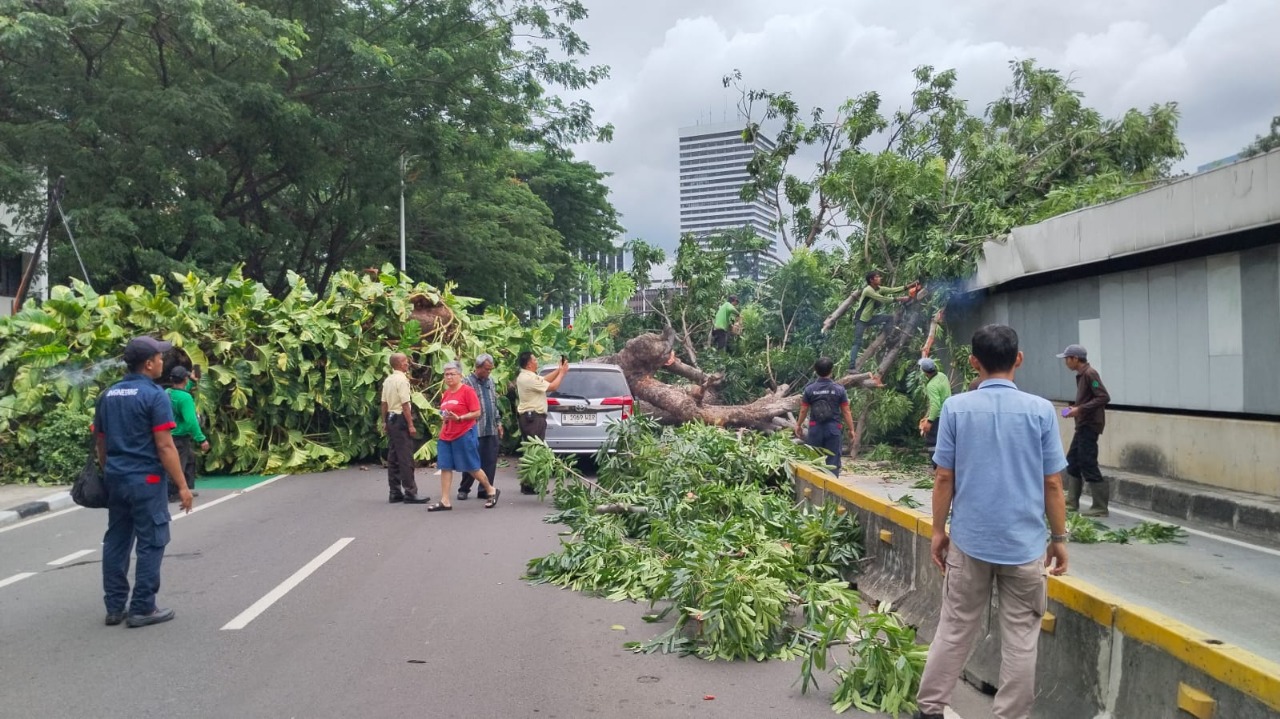 Pohon Tumbang di Senayan, Transjakarta tak Layani Rute Masjid Agung - ASEAN Arah Kota