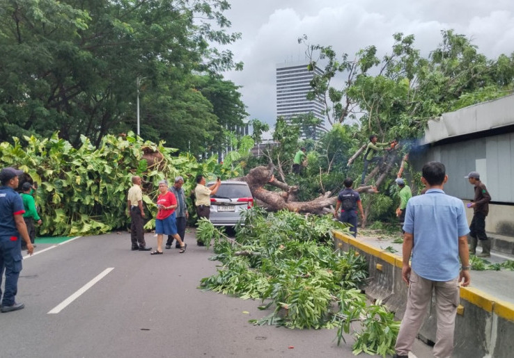 Malam Tahun Baru, 300 Pasukan Hujau Disiapkan di Jakarta Siaga Pohon Tumbang