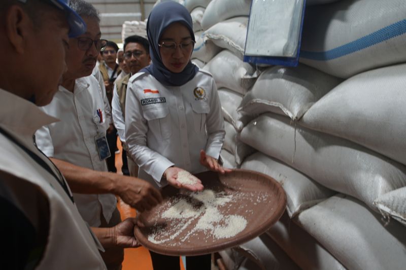 Sepajang 2026 Bulog Bakal Gelontorkan 893 Ribu Ton Untuk Stabilkan Harga Beras