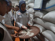 Sepajang 2026 Bulog Bakal Gelontorkan 893 Ribu Ton Untuk Stabilkan Harga Beras
