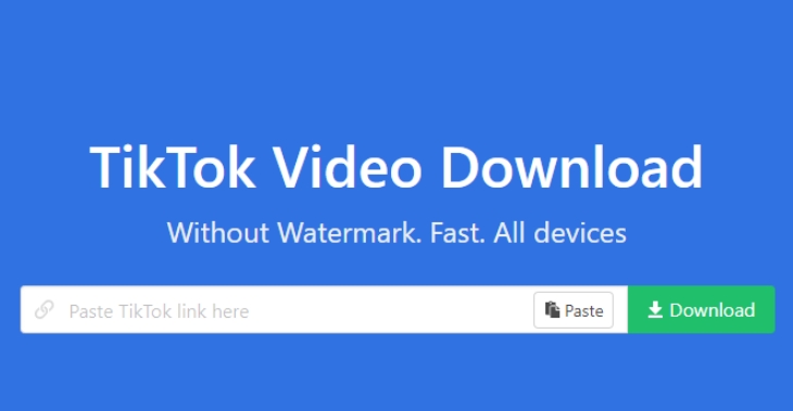 Situs Snaptik untuk mengunduh video TikTok tanpa watermark. (Foto: Snaptik.app)