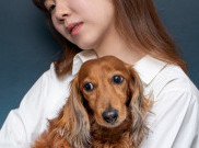 Jenis Vaksin Anjing dan Manfaatnya