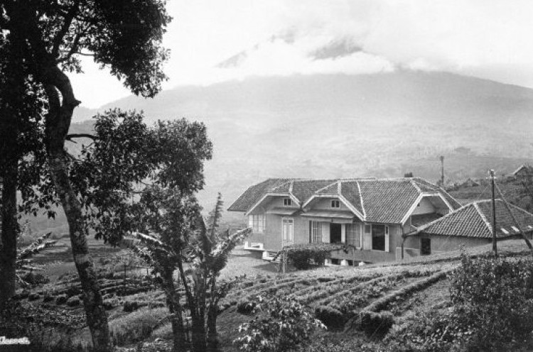 Mengenang Eksotika Gunung Papandayan, Lokasi Favorit Pelancong Masa Kolonial