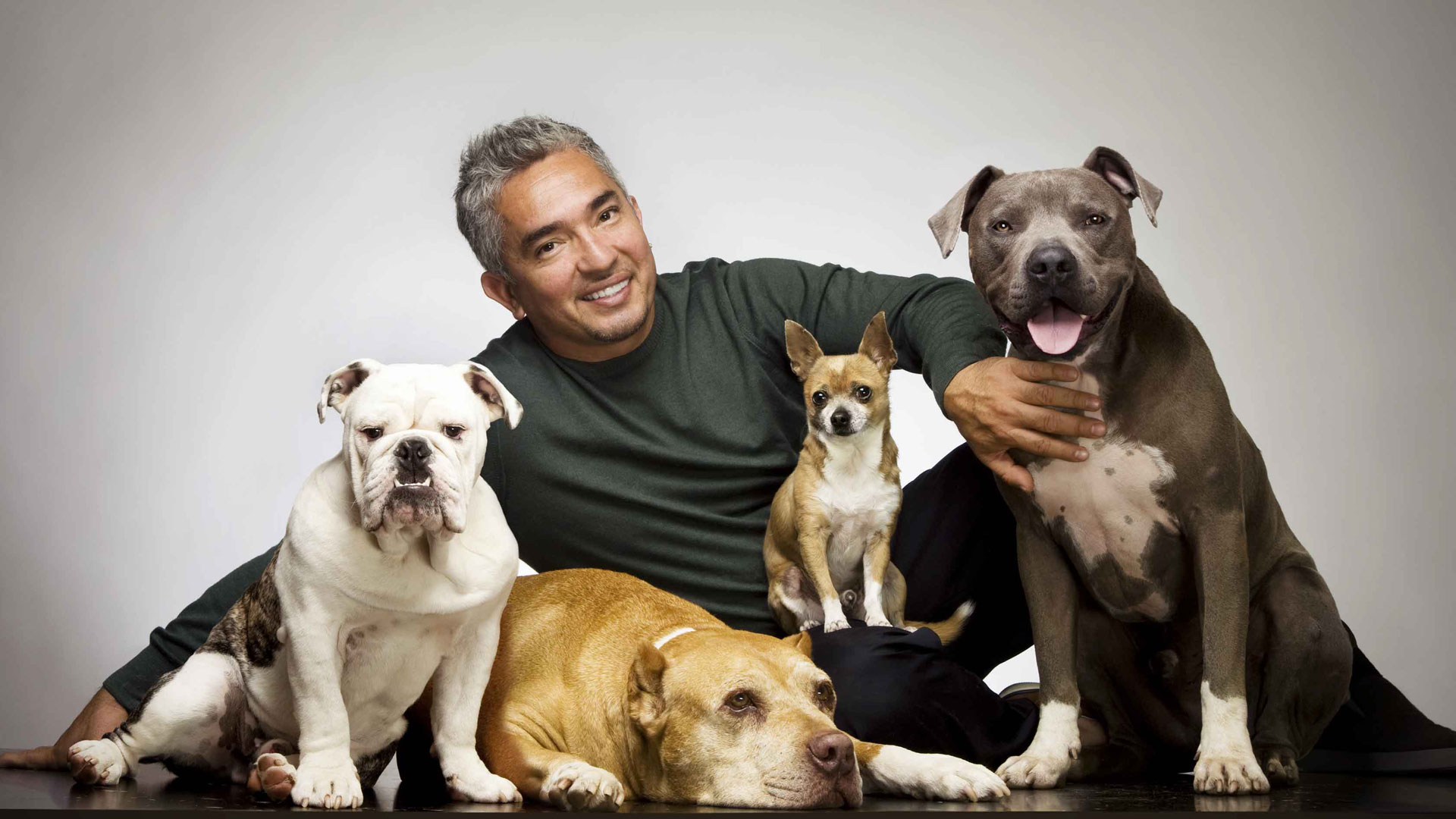 4 Makanan Manusia yang Aman Dikonsumsi Anjing