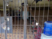 LPSK Temukan Indikasi TPPO di Kasus Kerangkeng Manusia Bupati Langkat