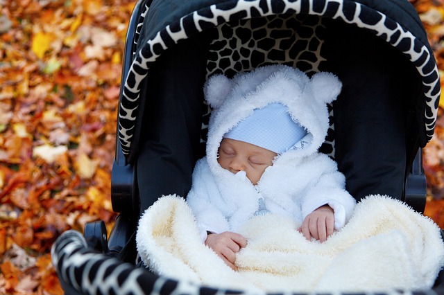 baby buggy