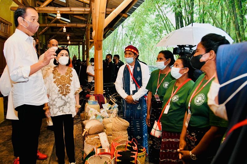 Minta Perluas Penanaman Sorgum di NTT, Strategi Jokowi Hadapi Krisis Pangan