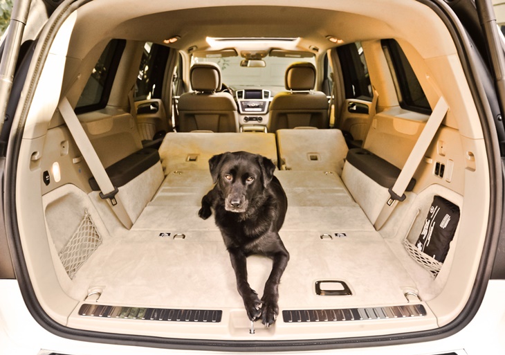 mecedes benz GLS
