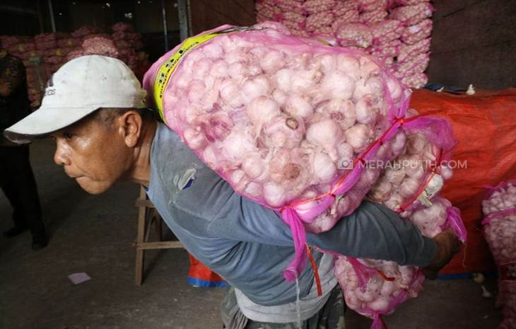 Wabah Virus Corona, Apa Dampaknya terhadap Pasokan Bawang Impor Asal Tiongkok?