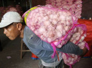 Bawang Putih Langka, DPR Gelar RDP dengan Kementan