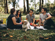 Anti Drama-Drama Club, 4 Zodiak Ini Jagonya Menenangkan Keadaan