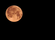 Strawberry Moon di Yogyakarta dan Malang! Ini Fakta Menarik di Baliknya yang Terjadi 18,6 Tahun Sekali