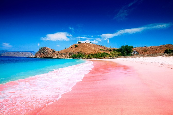 Yuk, Menyusuri Pantai Pink di Lombok Timur yang Kece Banget