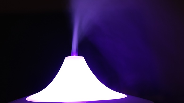 Air Purifier, Humidifier dan Diffuser, Apa Sih Bedanya?