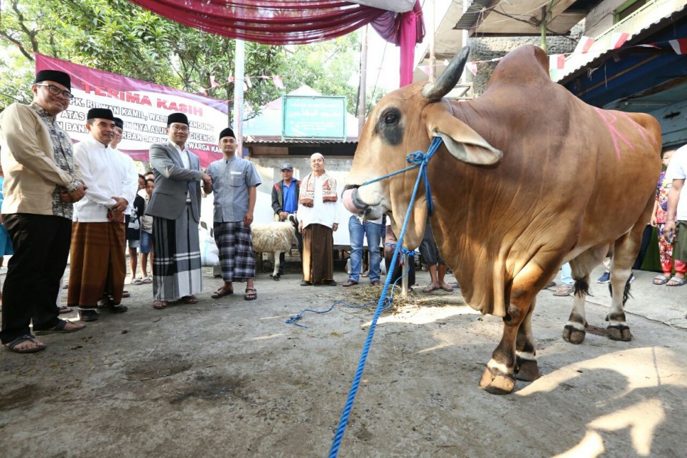 Pandemi COVID-19, Penjualan Hewan Kurban di Bandung Menurun