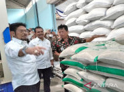 Tidak Perlu Impor, Petani Masih Mampu Penuhi Kebutuhan Gudang Bulog