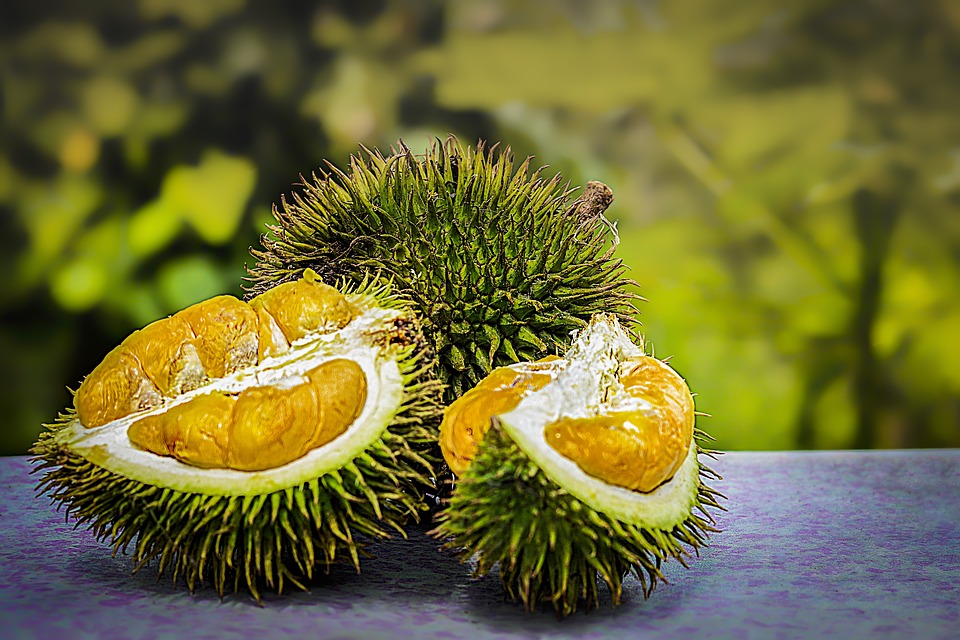 Meski demikian durian memiliki gula yang tinggi (Sumber: Pixabay/truthseeker08)
