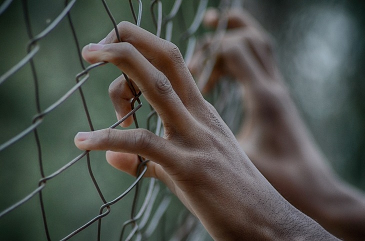 fence