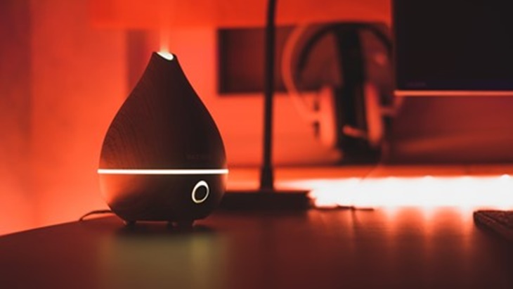 Jenis-Jenis dan Kegunaan Diffuser, Kamu Punya yang Mana?