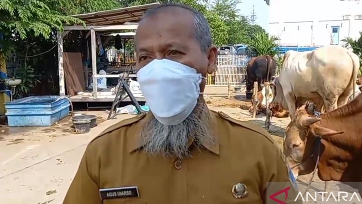 3 Ekor Sapi di Jakut Diduga Terinfeksi Virus PMK