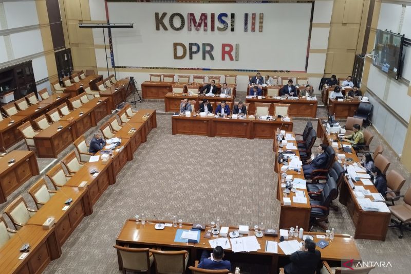 Fit and Proper Test Calon Dewas KPK, Mirwazi: Pimpinan KPK Merasa Paling Hebat