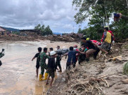 Data Korban Banjir di Sumut Capai 343 Orang Meninggal, Terus Bertambah