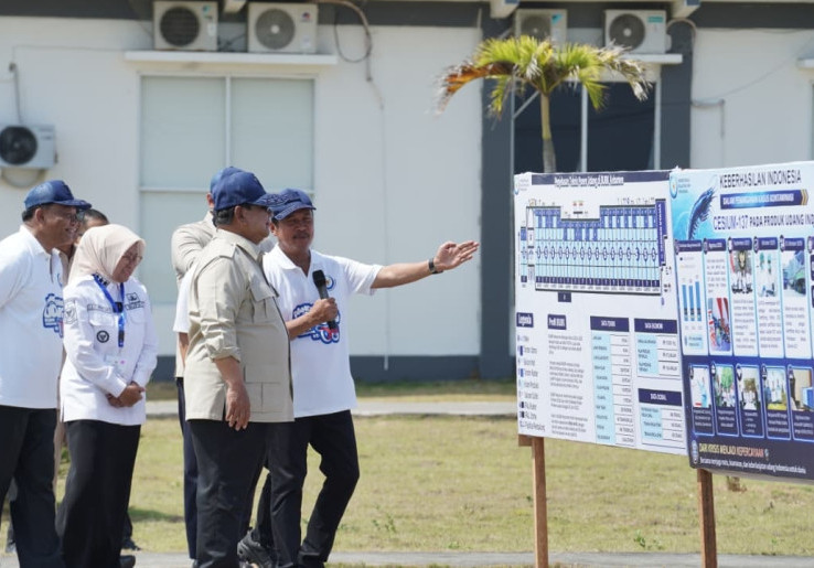 Usai Beras dan Jagung, Prabowo Targetkan Indonesia Swasembada Daging dalam 5 Tahun