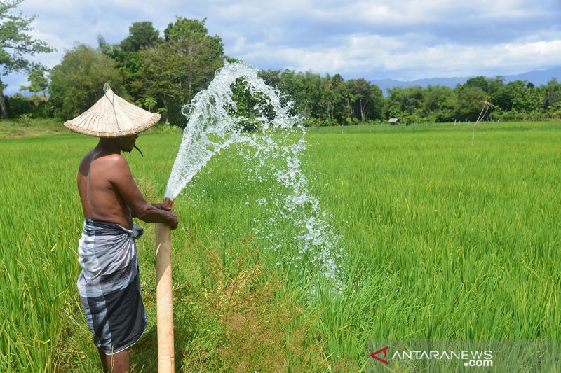 Pulihkan Ekonomi, BUMN Harus Jadi Offtaker Komoditas Pertanian