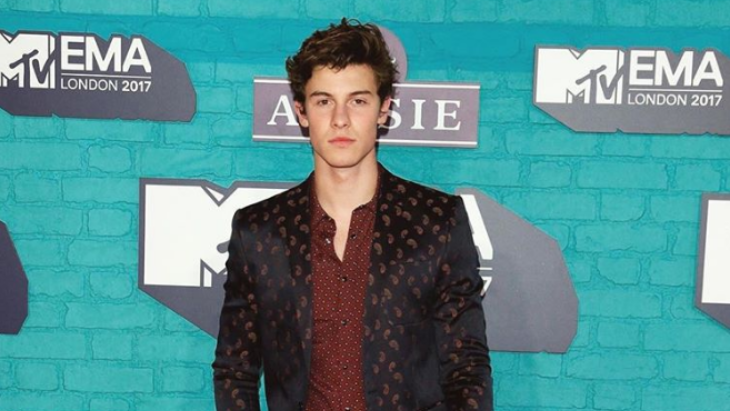 WOW! Shawn Mendes Mendominasi MTV Europe Music Awards 2017