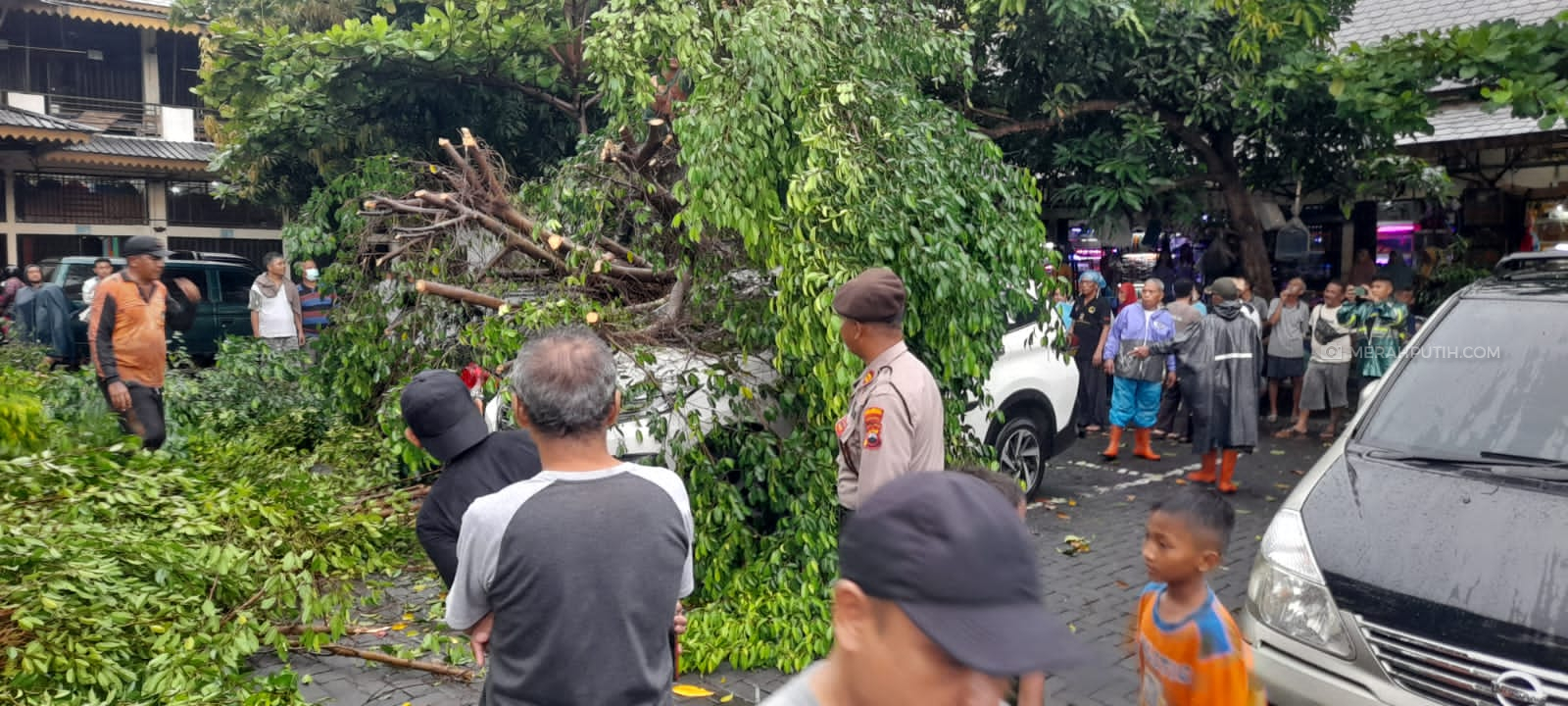 3 Mobil Tertimpa Pohon Tumbang, 2 Pengendara Motor Dilarikan ke Rumah Sakit di Solo