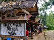 Mengenal Kuburan Bayi Kambira di Tana Toraja