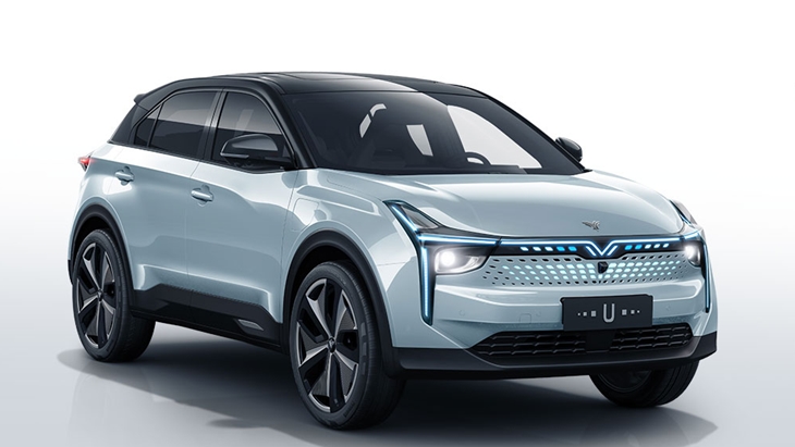 Hozon U. (Foto: hozonauto.com)