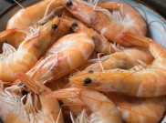 Rajin Makan Udang Bisa Bikin Awet Muda