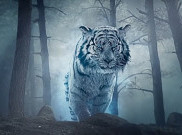 Empat Peran Penting Harimau Horyeong di Serial 'Lovers of the Red Sky'