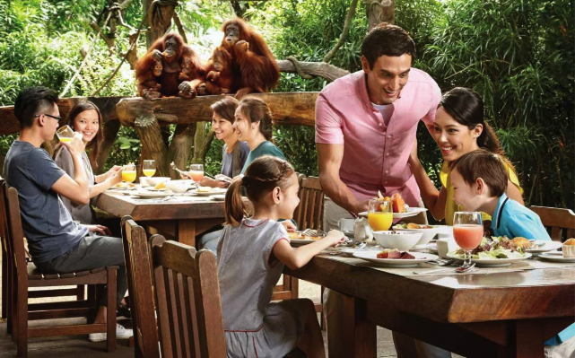 sarapan bersama orangutan