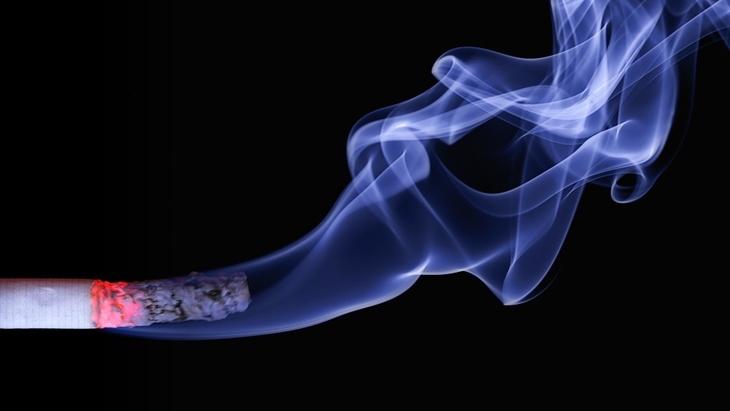 Asap rokok dapat merusak pembuluh darah yang mengurangi aliran darah ke ginjal. (Foto: Pixabay/realworkhard)