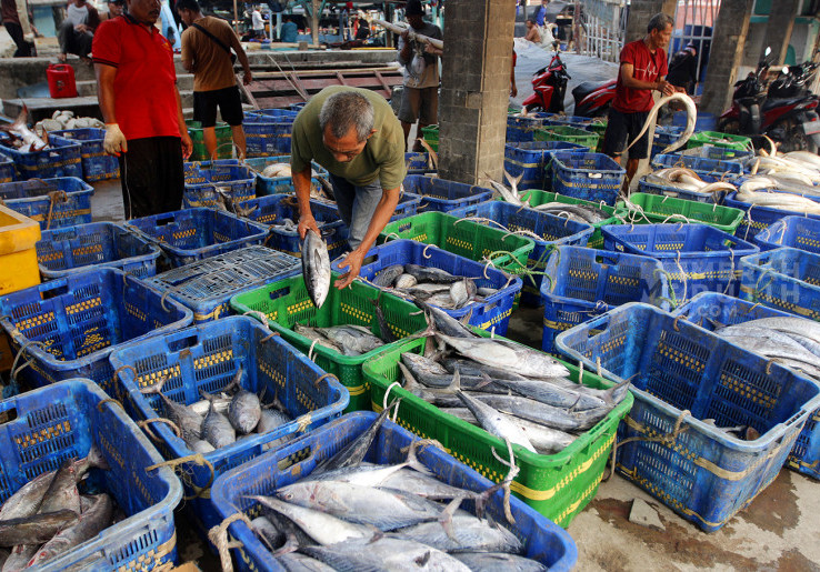 Hasil Tangkapan Ikan Nelayan Muara Angke di Pesisir Jakarta