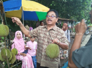 Yuk Nikmati Sensasi Lezatnya Durian Kumpeh di Jambi