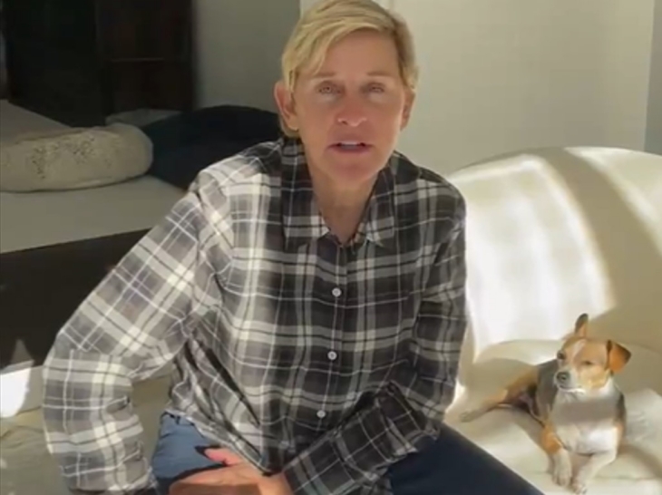 Ellen DeGeneres saat menjalani isolasi mandiri (Foto: Twitter/@TheEllenShow)