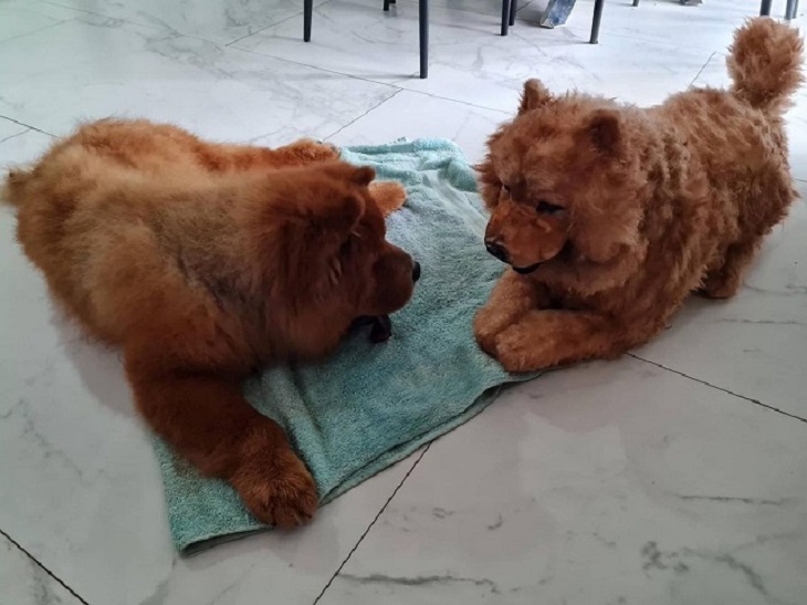 teddy bear