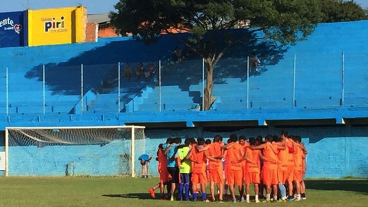 Sebuah Pohon Misterius Tumbuh di Tribun Stadion Sepak Bola, Dampaknya Sangat Mengejutkan
