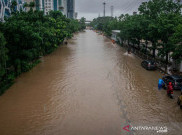 Antisipasi Banjir, DPRD Desak Pemprov DKI Realisasikan 1,8 Juta Drainase Vertikal