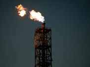 DPR Sebut Temuan Cadangan Gas Baru Blok Ganal Jadi Kunci Ketahanan Nasional, Siap-Siap Mandiri Energi