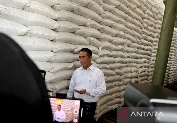 Cadangan Beras 5 Juta Ton Diklaim Bikin Harga Beras Premium Stabil